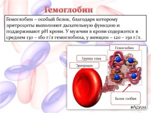 Симптомы низкого гемоглобина