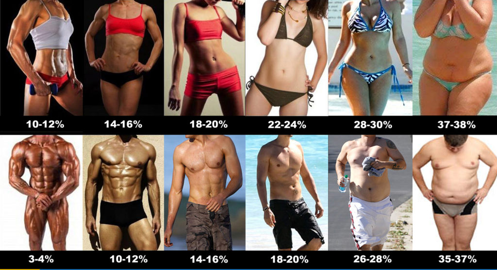 body_fat_percentage